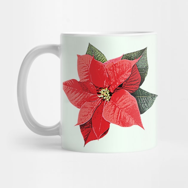 One Poinsettia by SusanSavad